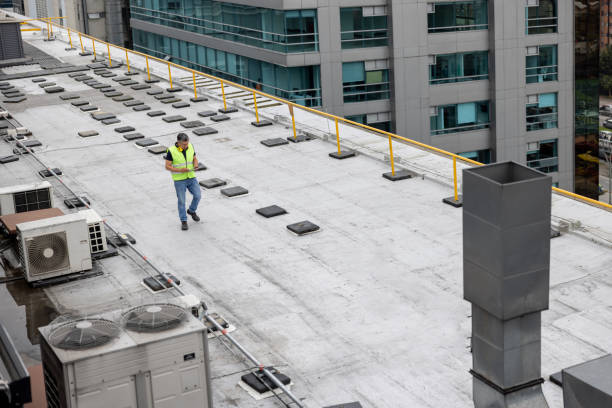 Best Roof Waterproofing  in Shenandoah, PA